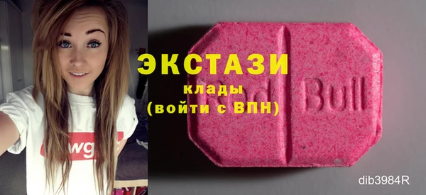 стаф Пересвет