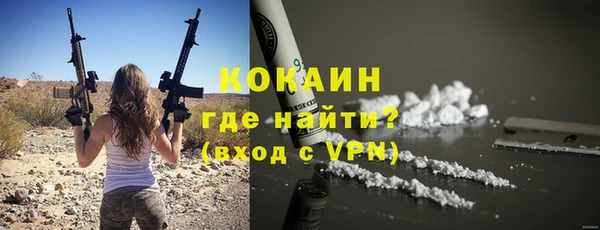 мдпв Пестово