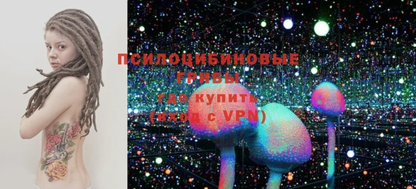 стаф Пересвет