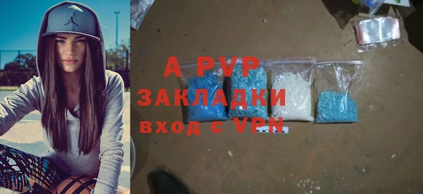 стаф Пересвет