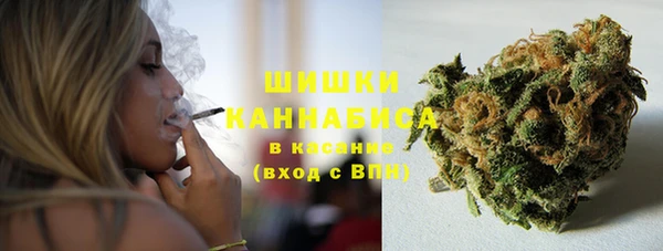 стаф Пересвет