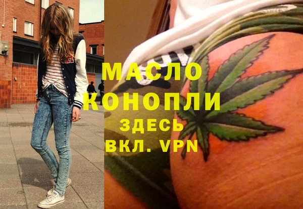 стаф Пересвет