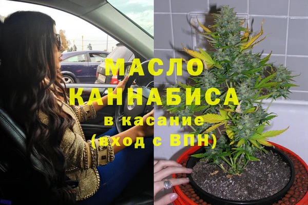 стаф Пересвет