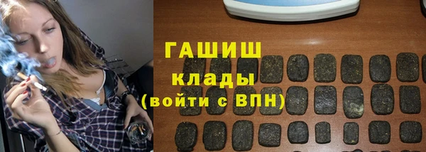 стаф Пересвет