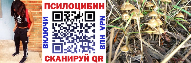 Псилоцибиновые грибы GOLDEN TEACHER  Новороссийск 